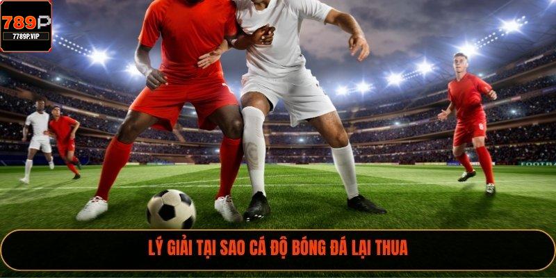 Lý giải tại sao cá độ bóng đá lại thua