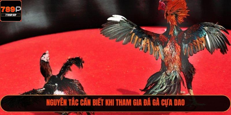 Cách Thức Đá Gà Cựa Dao Đầy Kịch Tính Tại 789P 2025 1 Nguyên tắc cần biết khi tham gia đá gà cựa dao