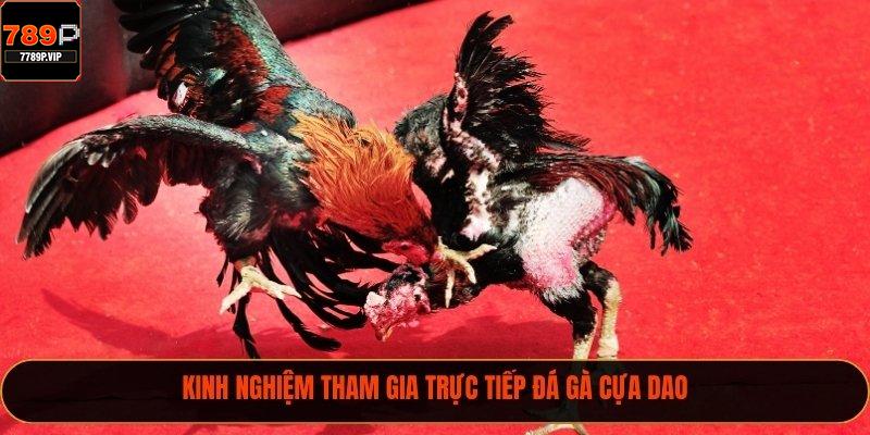 Cách Thức Đá Gà Cựa Dao Đầy Kịch Tính Tại 789P 2025 3 Kinh nghiệm tham gia trực tiếp đá gà cựa dao