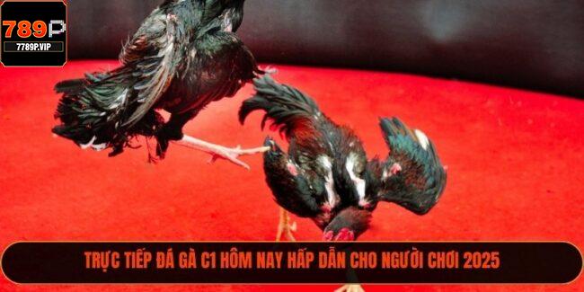 trực tiếp đá gà C1